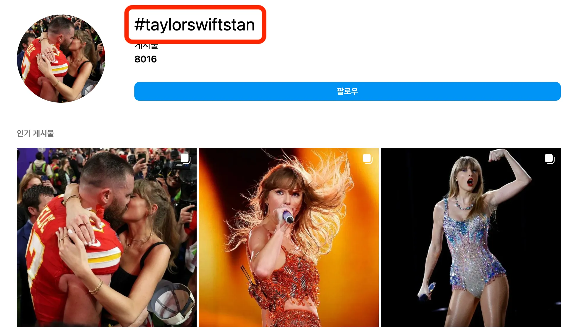 #TaylorSwiftStan